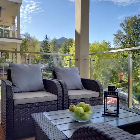 Pod Jeleniem Apartament *